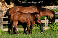 18 Lawless Love-9776 text