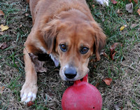 Rainey and her ball-0453
