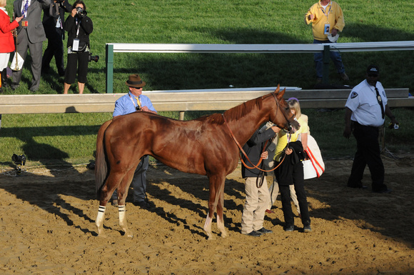 14 preakness CC to test barn-2692