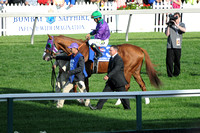 14 preakness saddleing-2530