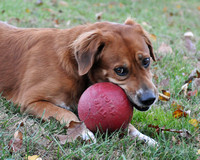 Rainey and her ball-0450