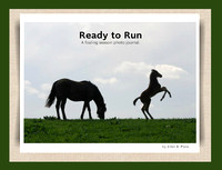 Ready to Run 24 page hardcover book