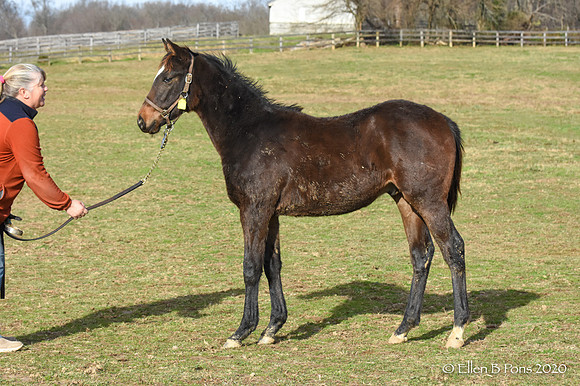 20 Moon Vision-DSC_3166