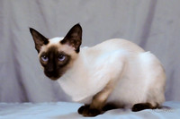 Lady Helena-9504