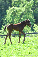 22 Schianti-3761
