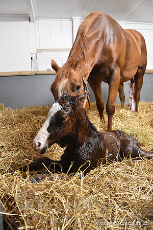 22 Schianti birth-2246