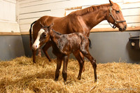 22 Schianti birth-2263