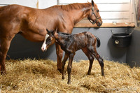 22 Schianti birth-2268