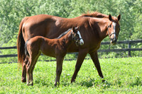 22 Schianti-3767