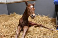 22 Hot Fun birth-8601