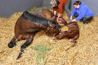22 Hot Fun birth-8587