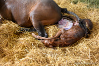 22 Hot Fun birth-8580