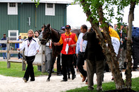 Orb leaves for Paddock-7683