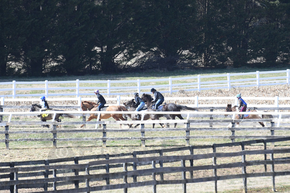 23 Pony Racing around the track-6