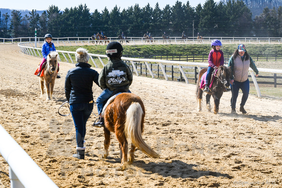 23 Pony Racing around the track-5240
