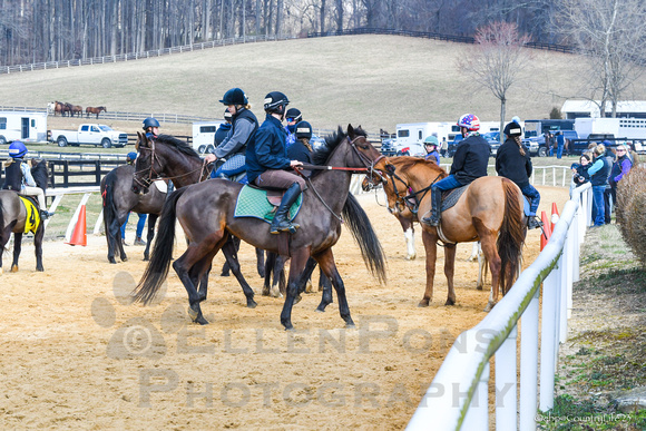23 Pony Racing around the track-5277