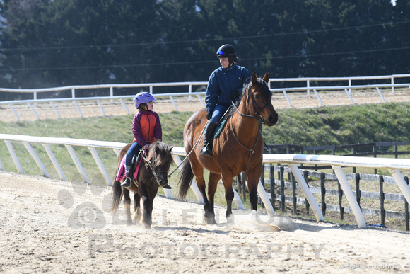 23 Pony Racing around the track-5384