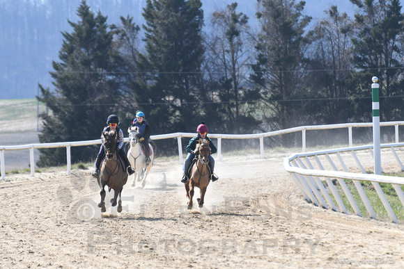 23 Pony Racing around the track-5413