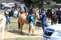 23 Pony Racing mounting up-40