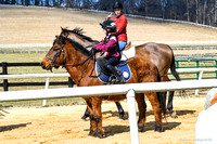23 Pony Racing mounting up-46