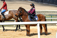 23 Pony Racing mounting up-47