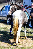 23 Pony Racing mounting up-87