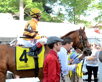 Wise Dan goes to post-0671