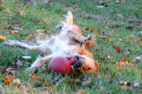 Rainey and her ball-0353