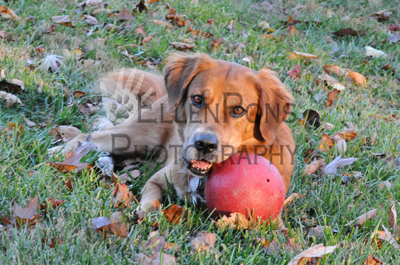 Rainey and her ball-0358