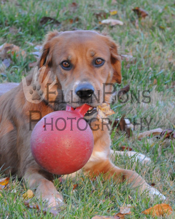 Rainey and her ball-0348
