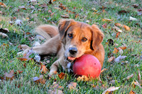 Rainey and her ball-0358