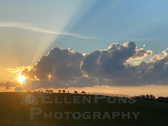 Sunburst Cloud on the big hill august 2020-0740