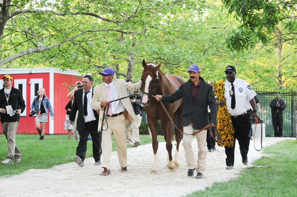 14 preakness Cc returns to barn-2794