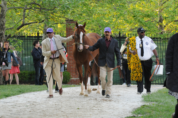14 preakness Cc returns to barn-2787