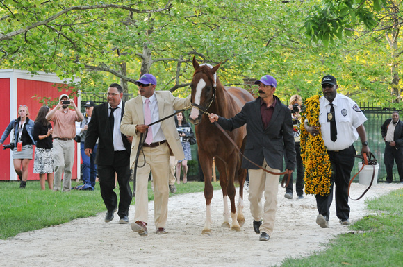 14 preakness Cc returns to barn-2793