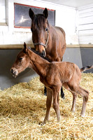 25 Truancy birth-9348