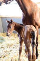25 Truancy birth-9359