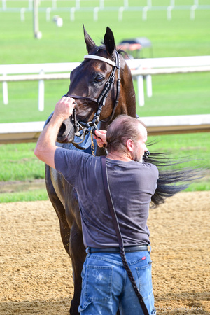 Galilei's last race Colonial-4413