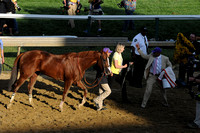 14 preakness CC to test barn-2695