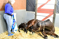 25 Last Love birth-9550