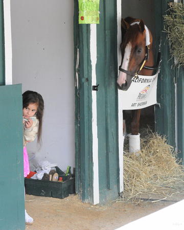 14 preakness CC waits midday-2031