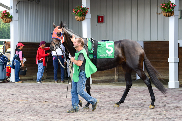 Galilei's last race Colonial-4342