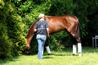 Orb Friday afternoon graze-7376